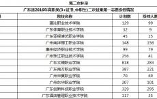 3+1高职高考,高职高考可以考哪些学校