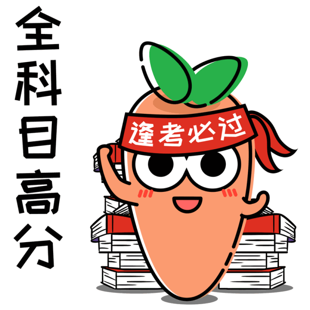 惠州3+证书辅导班,惠州小学生培训机构